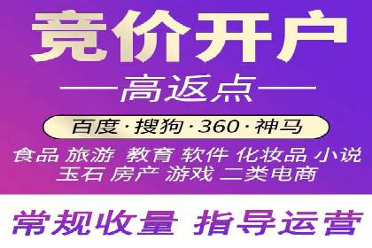 百度品牌专区推广：打造品牌形象的新途径